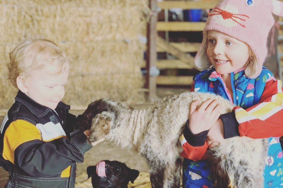 Keep calm, it’s lambing time!