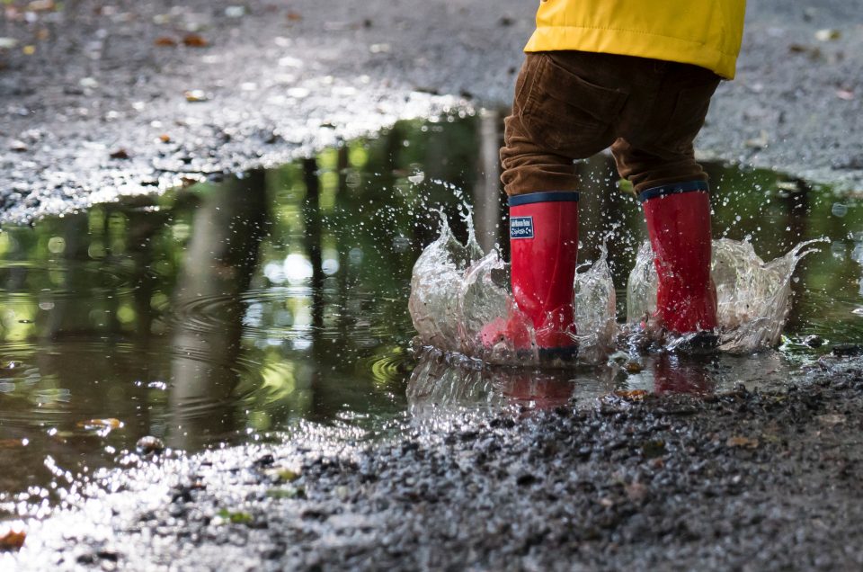 Who’s up for a muddy walk?